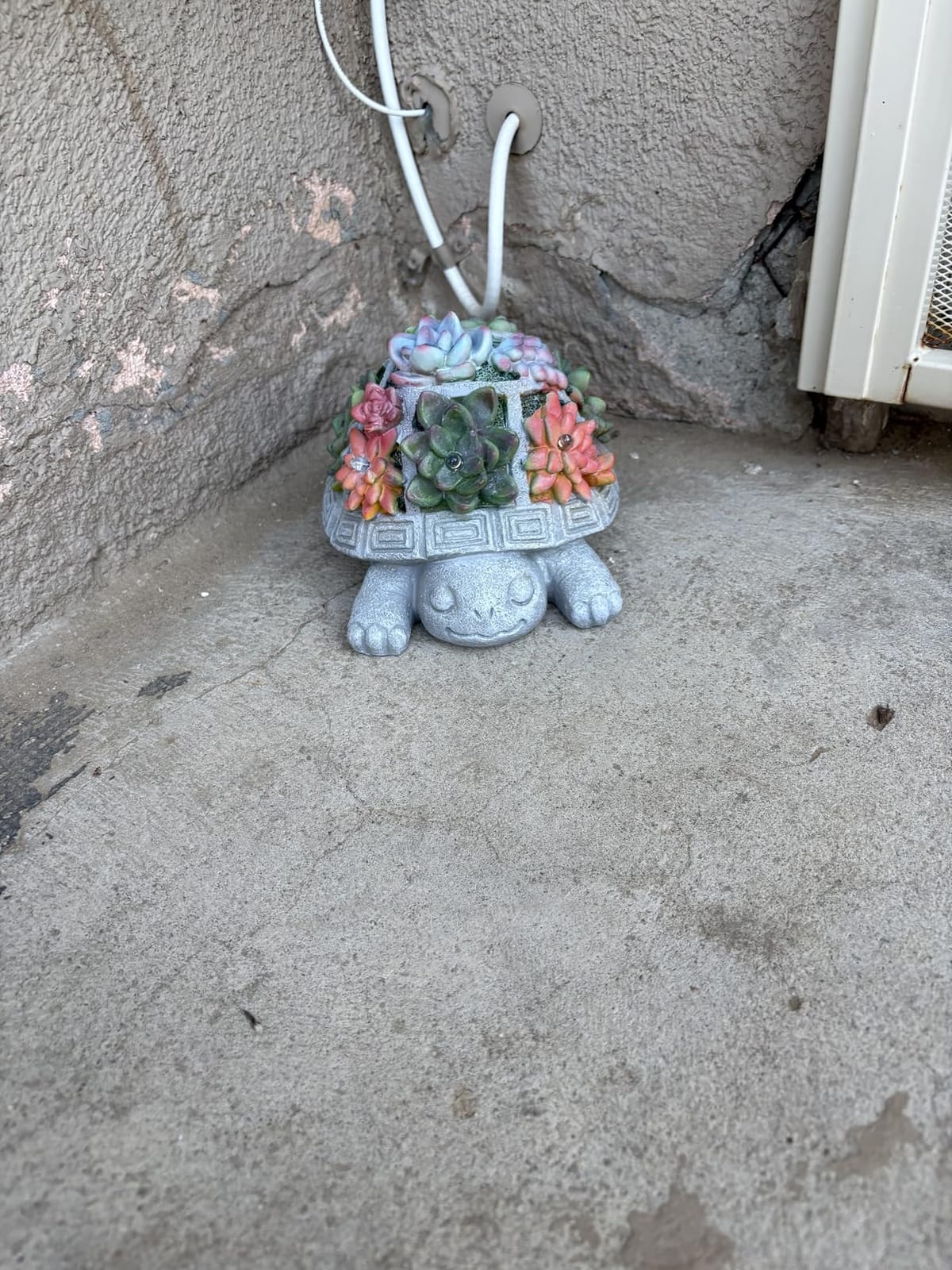 Solar Turtle Garden Outdoor Decor with Succulent & 7 LED Lights - Outside Tortoise Statue Decor for Yard Patio Balcony & Backyard - Home House Decoration Art - Gift for Men Dad Women Mom customer photo 1