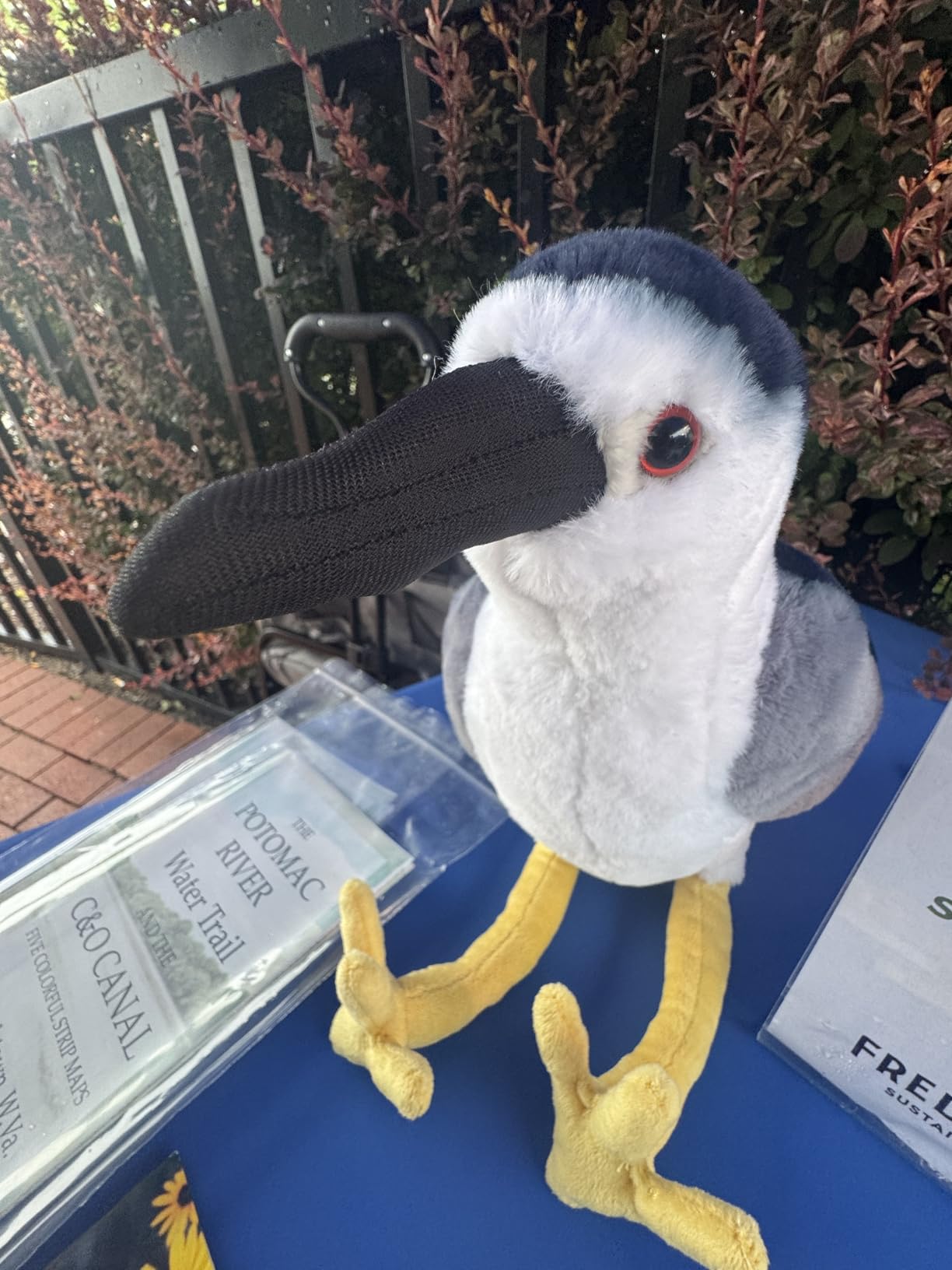 Kestrel Plush Toy, Lifelike Kestrel Stuffed Animals 10.7in, Soft Realistic Kestrel Bird Unique Plushie Toys customer photo 2