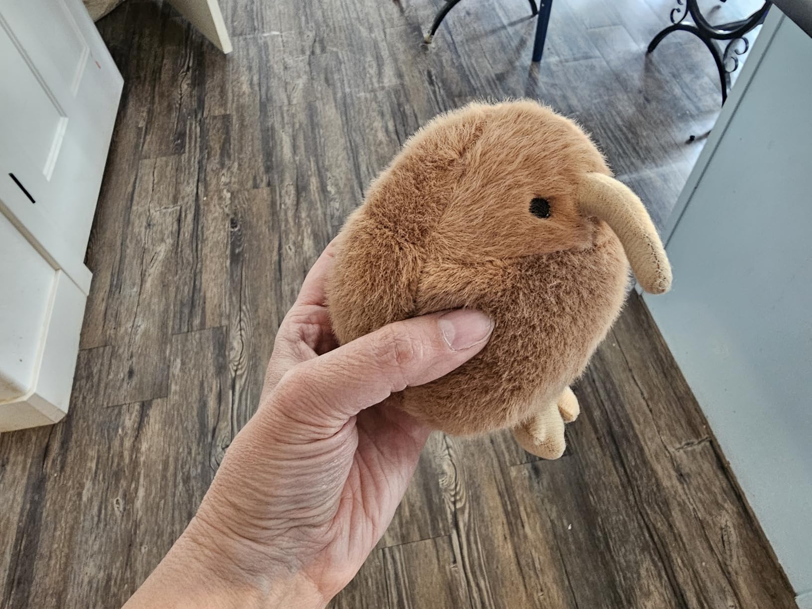 Screaming Kiwi Bird Plush Toy 4.5 inch, Cute Bird Stuffed Animal Desk Toy, Makes Fun Screaming Kiwi Sounds, Funny Weird Stuffed Animal Gag Gifts customer photo 1