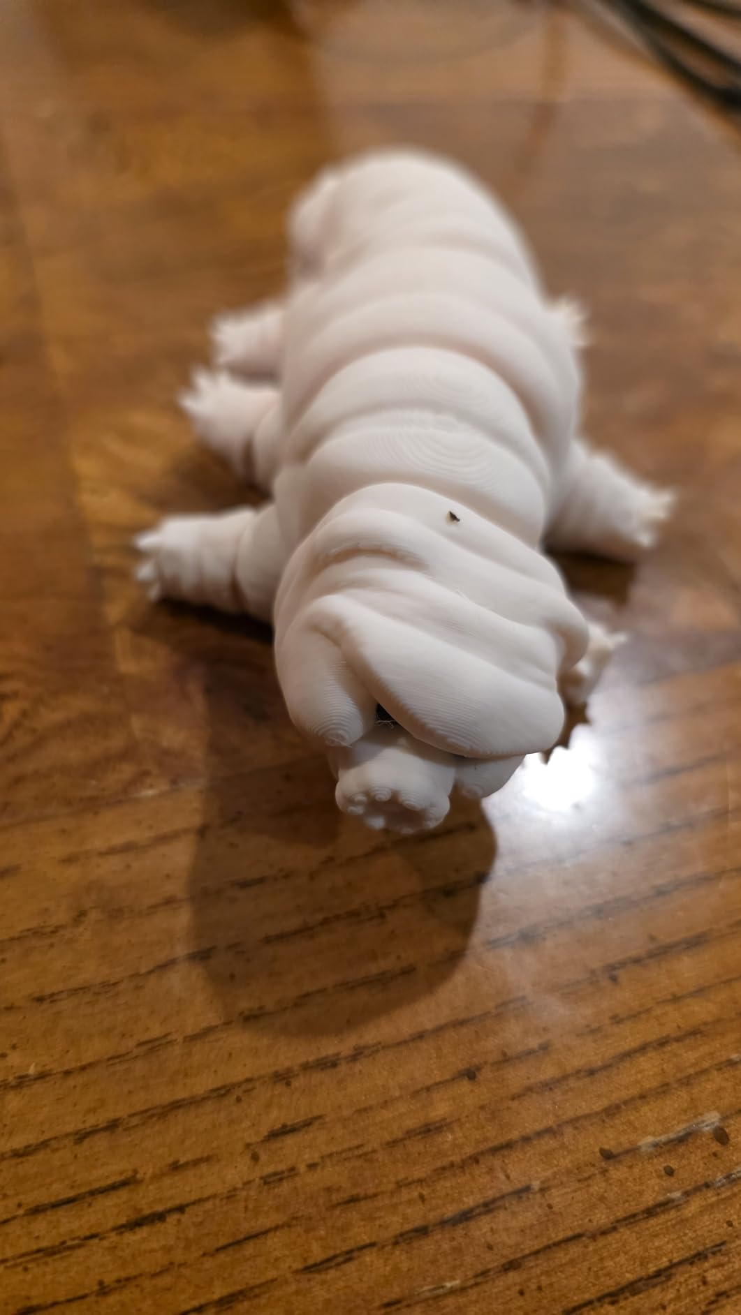 KIDRORO 3D Printed Animals Tardigrade - Articulated Water Bear Toys, Weird Stuff, Flexible Animals Toy Statue, Movable Joints, Desk Home Office Decor, Birthday Easter customer photo 1