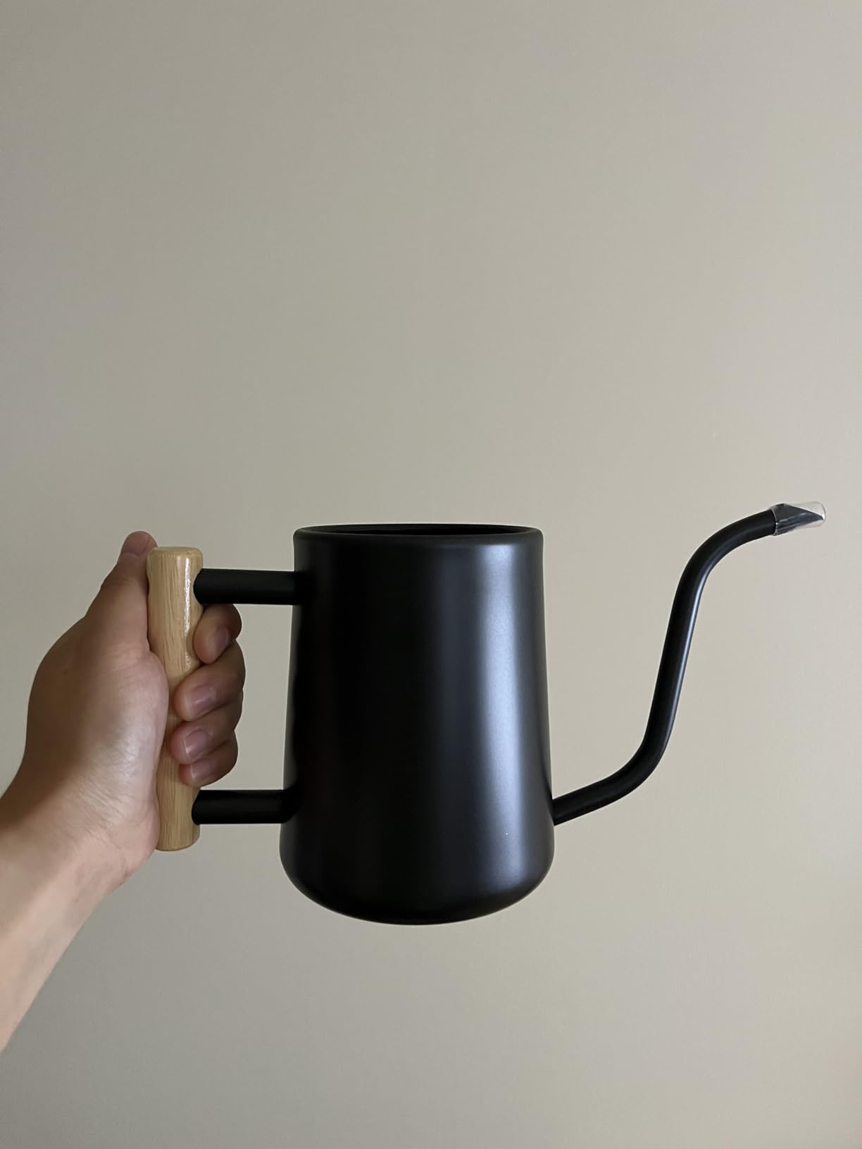 Watering Can Indoor Plants, 35 oz/1000 ml Metal Stainless Steel Watering Can Pot with Long Spout for Indoor House Plants Bonsai Outdoor Garden Flower Decorative White Flowers customer photo 1