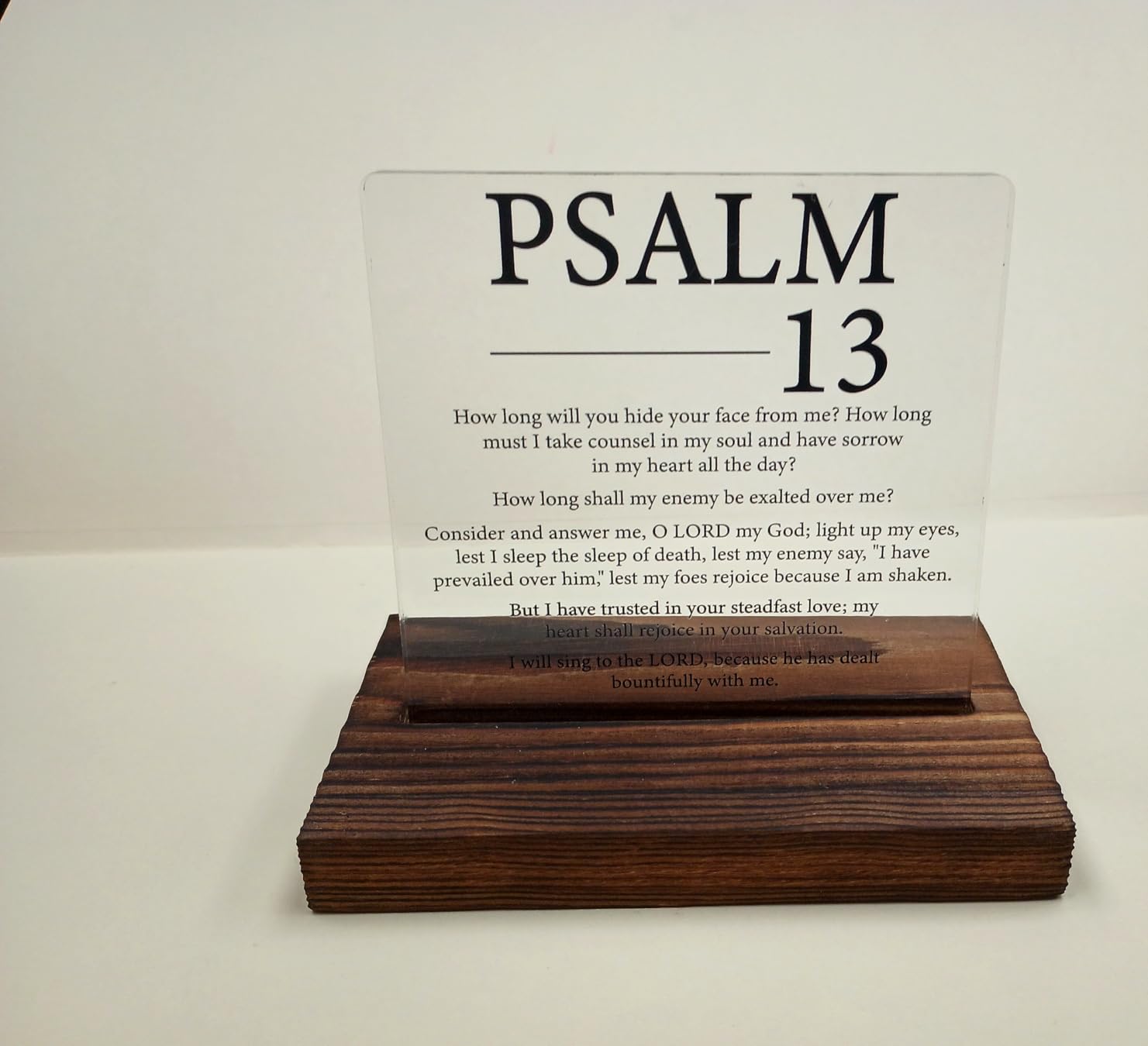 Podiatrist Definition Tribute Plaque, Foot Whisperer Appreciation Gift for Podiatrist, Unsung Hero Decor for Foot Doctor, Minimalist Acrylic Keepsake with Wooden Stand, HSJ128 customer photo 2