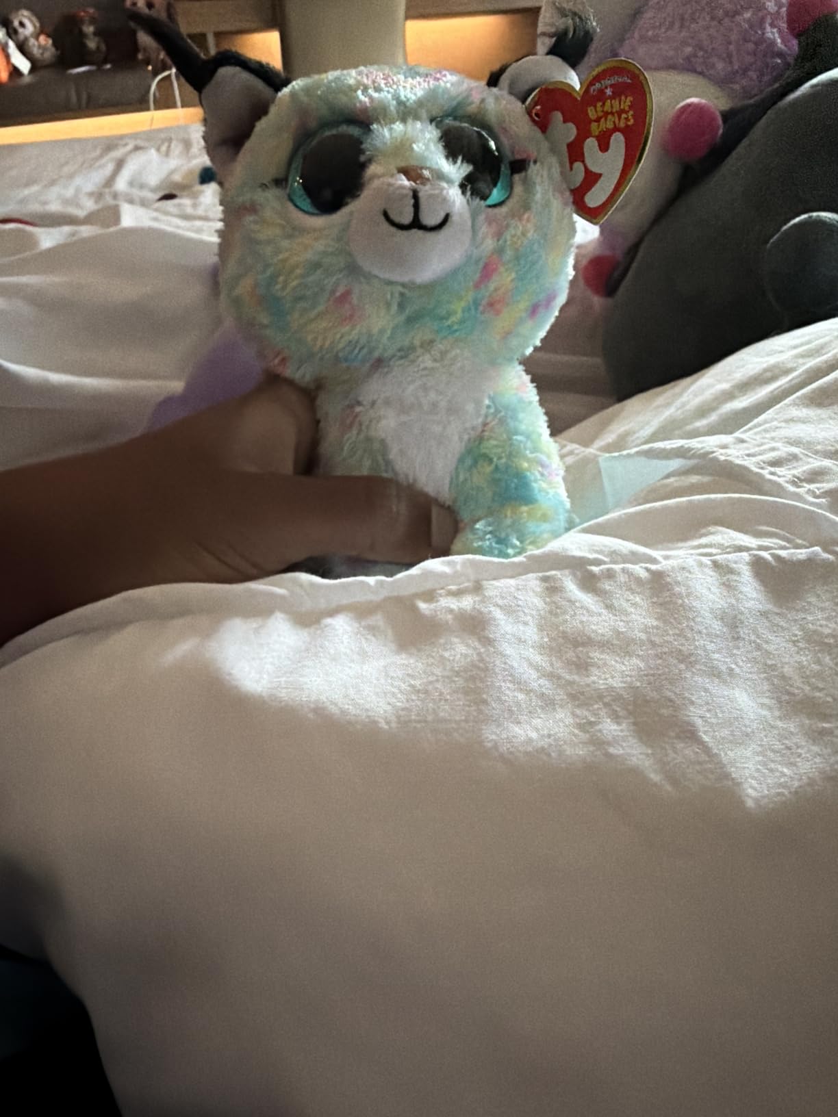 Ty Beanie Boo Lynx the Blue Bobcat customer photo 2