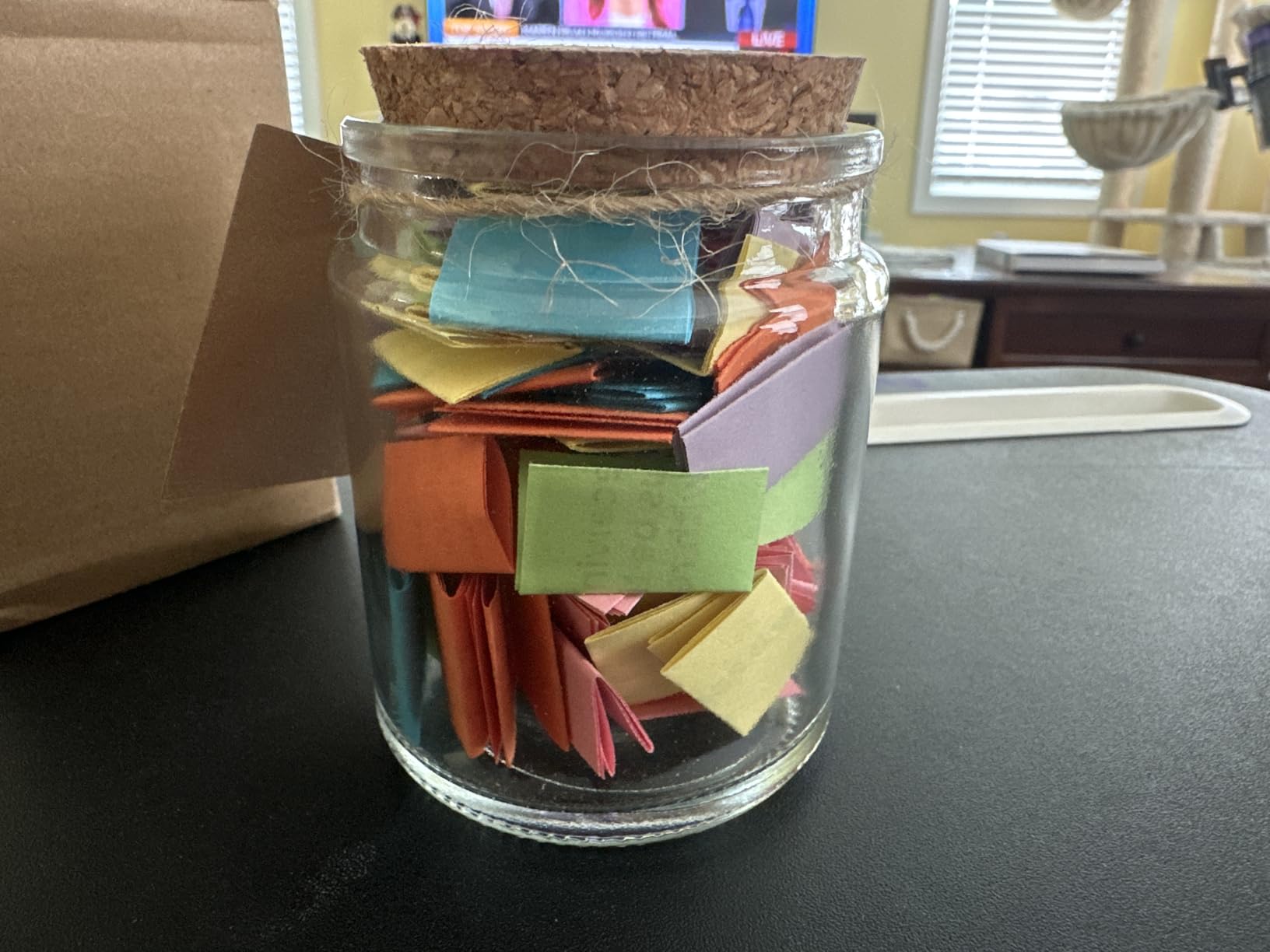 NewEleven Dog Dad Gifts For Men - Fathers Day Gift From Dog, 60 Emotional Support Birthday Gift Cards for Dogs Dad, Brother, Husband - Fur Daddy Gifts From Daughter, Son, Wife - Puppy Positive Jar customer photo 1