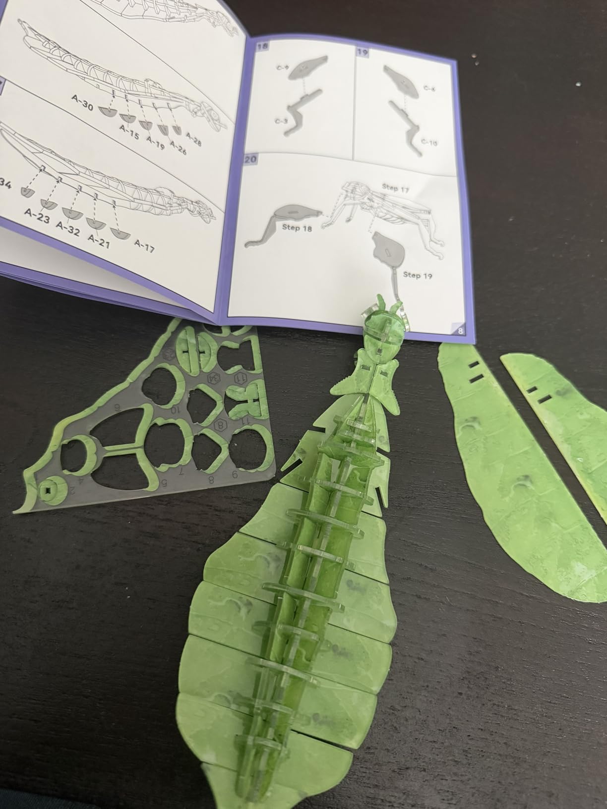3D Acrylic Insect Puzzle DIY Bug Model Kit Animal STEM Gift (Wasp) customer photo 1