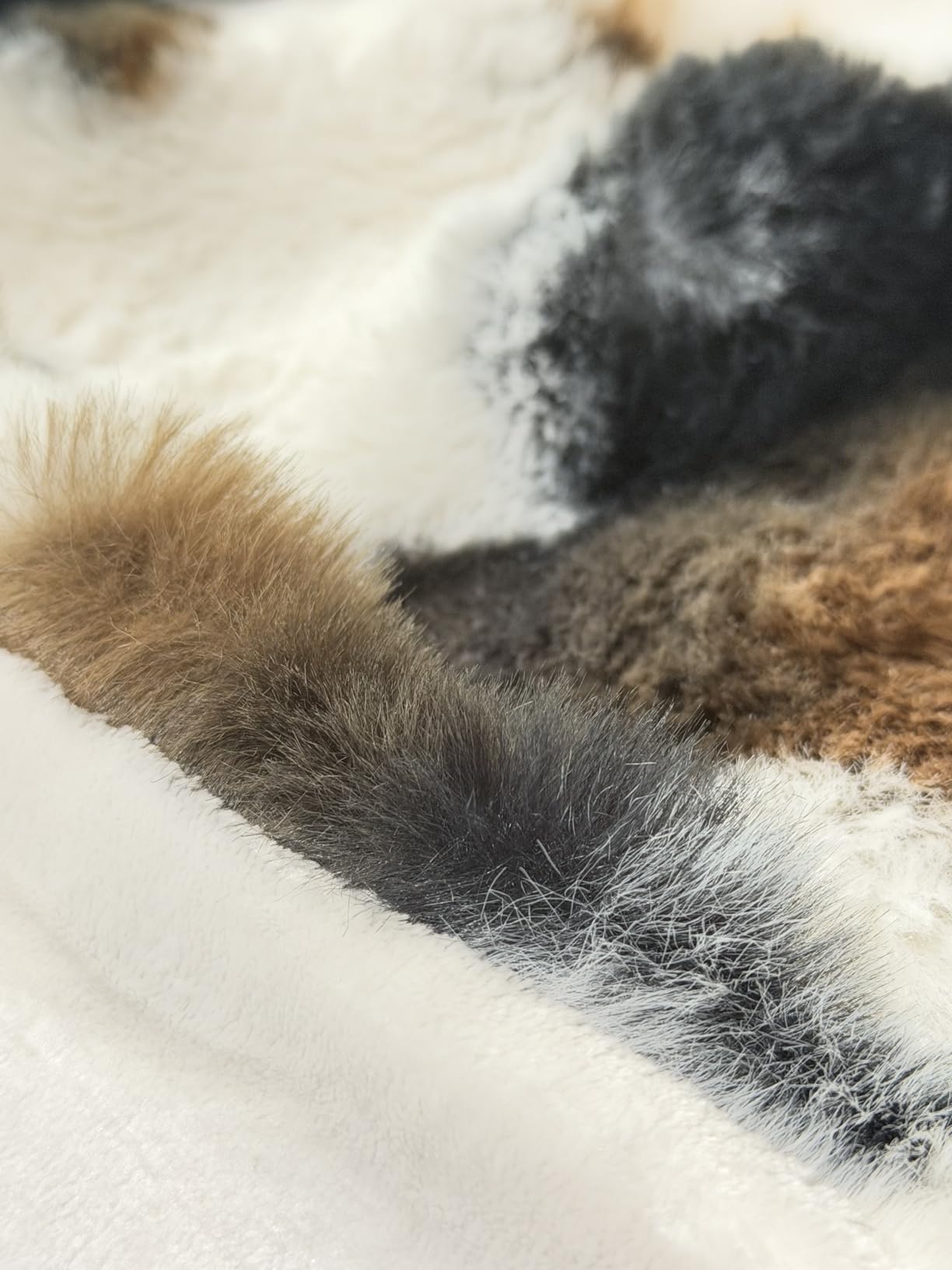 Ultra-Soft Fuzzy Faux Fur Throw Blanket, Golden Lynx, 60x80 in | Luxury Plush Feel with Cozy Warmth for Everyone, Perfect for Relaxing on Couch, Sofa, Bedroom, Holiday Gifts customer photo 2