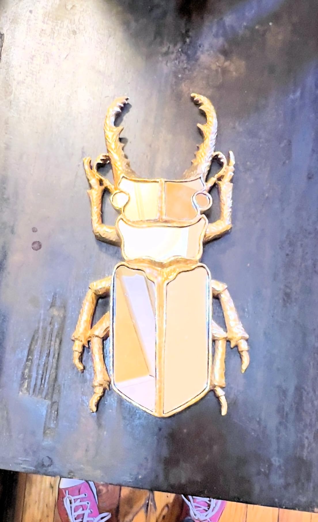 Decorative Bug Insects Animals Beetle Mirrors - Gold Resin and Glass Wall Decor, Perfect for Victorian and European Themed Homes (Cicada) customer photo 2