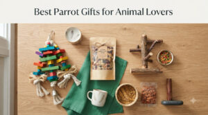 Best Parrot Gifts for Animal Lovers
