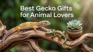 Best Gecko Gifts for Animal Lovers