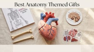 Best Anatomy Themed Gifts