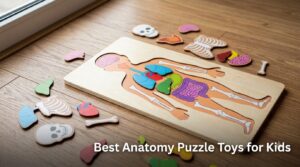 Best Anatomy Puzzle Toys for Kids