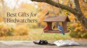 Best Gifts for Birdwatchers