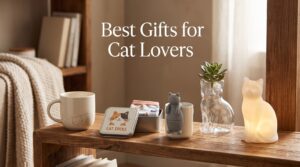 Best Gifts for Cat Lovers