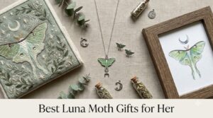 Best Luna Moth Gifts for Her