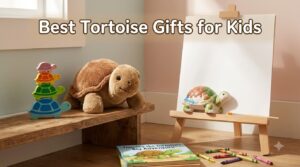 Best Tortoise Gifts for Kids