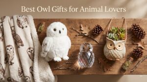 Best Owl Gifts for Animal Lovers