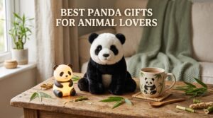 Best Panda Gifts for Animal Lovers