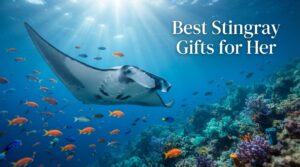 Best Stingray Gifts for Her