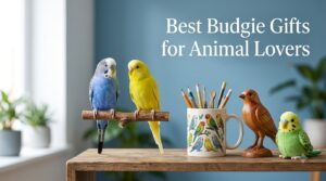Best Budgie Gifts for Animal Lovers