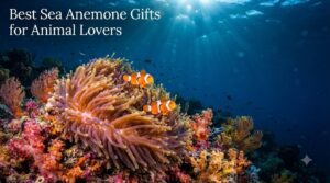 Best Sea Anemone Gifts for Animal Lovers