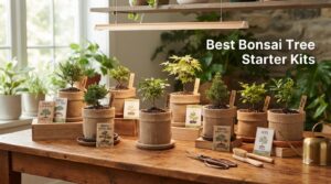 Best Bonsai Tree Starter Kits