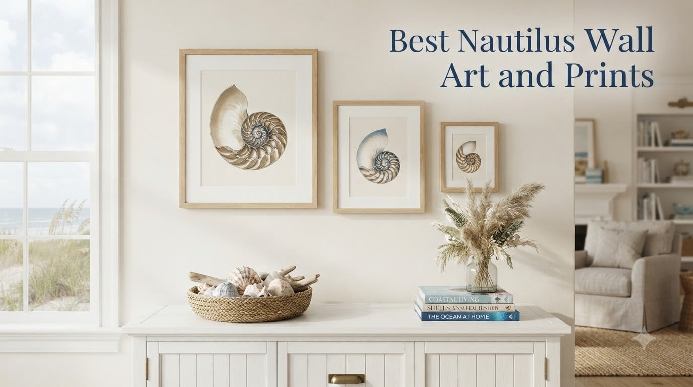 Best Nautilus Wall Art and Prints