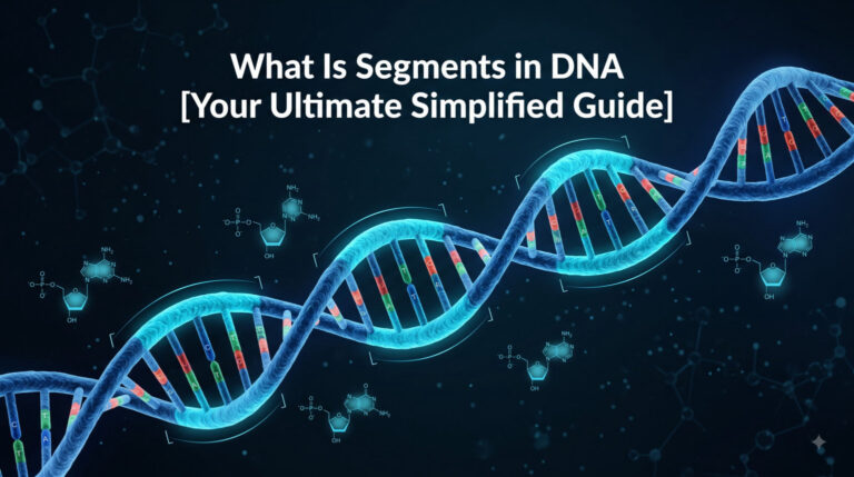 What Is Segments in DNA [Your Ultimate Simplified Guide]