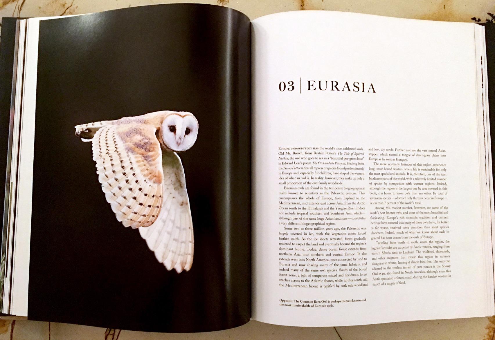 The Enigma of the Owl: An Illustrated Natural History customer photo 1