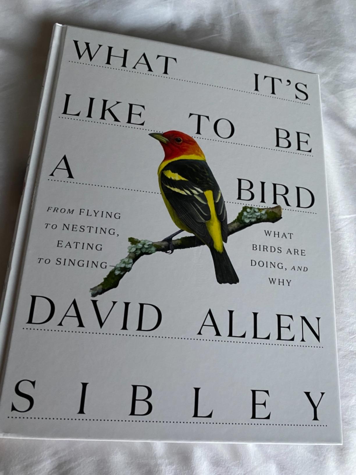 What It's Like to Be a Bird: From Flying to Nesting, Eating to Singing - What Birds Are Doing, and Why (Sibley Guides) customer photo 1