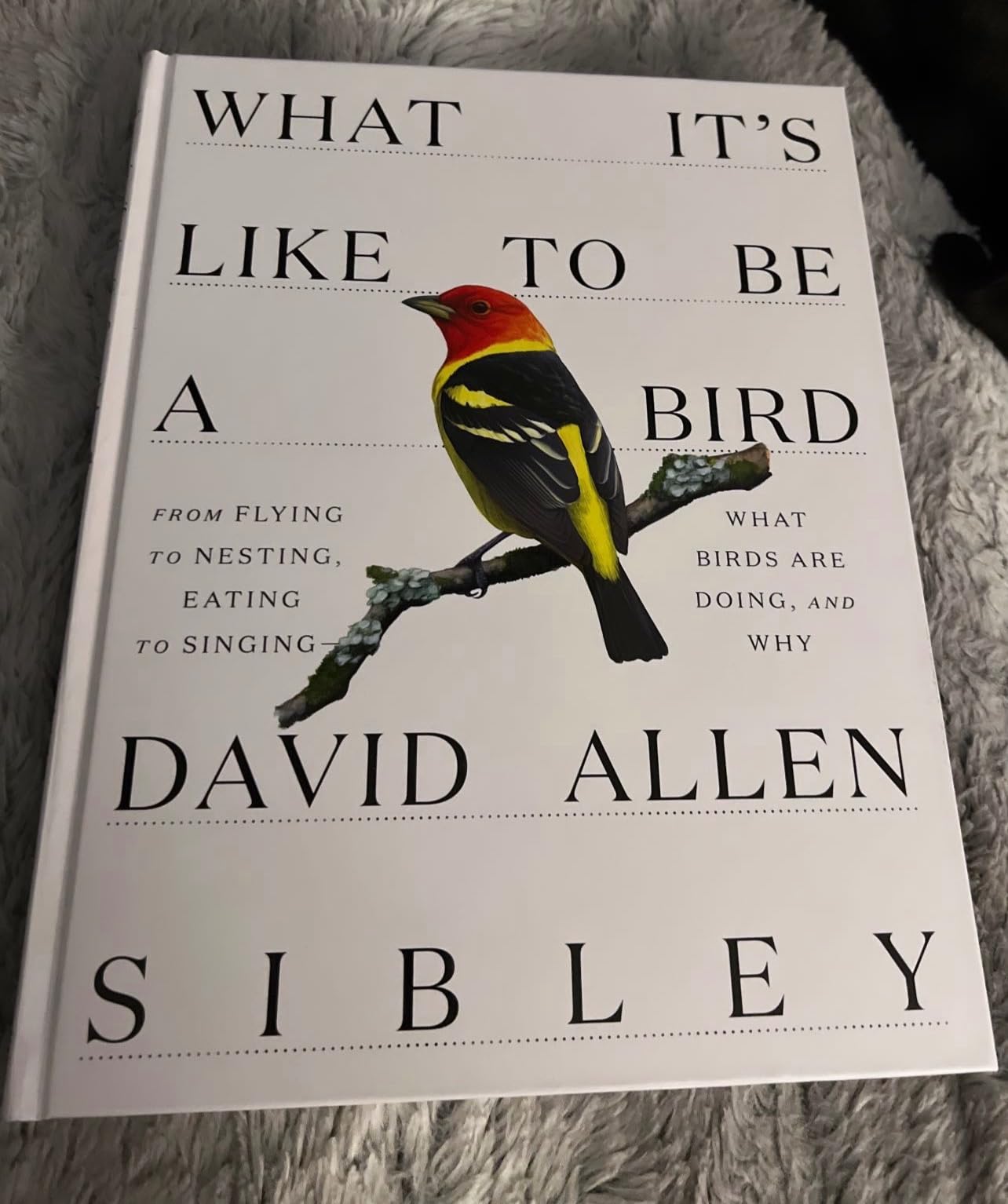 What It's Like to Be a Bird: From Flying to Nesting, Eating to Singing - What Birds Are Doing, and Why (Sibley Guides) customer photo 2