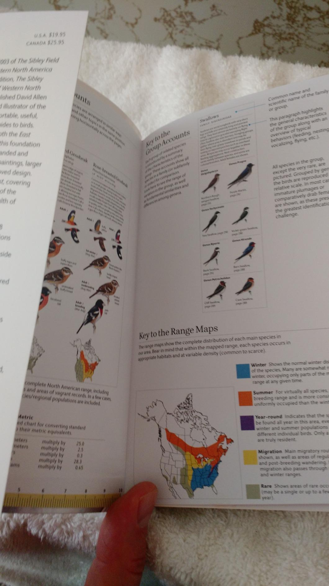 The Sibley Field Guide to Birds of Eastern North America: Second Edition customer photo 1