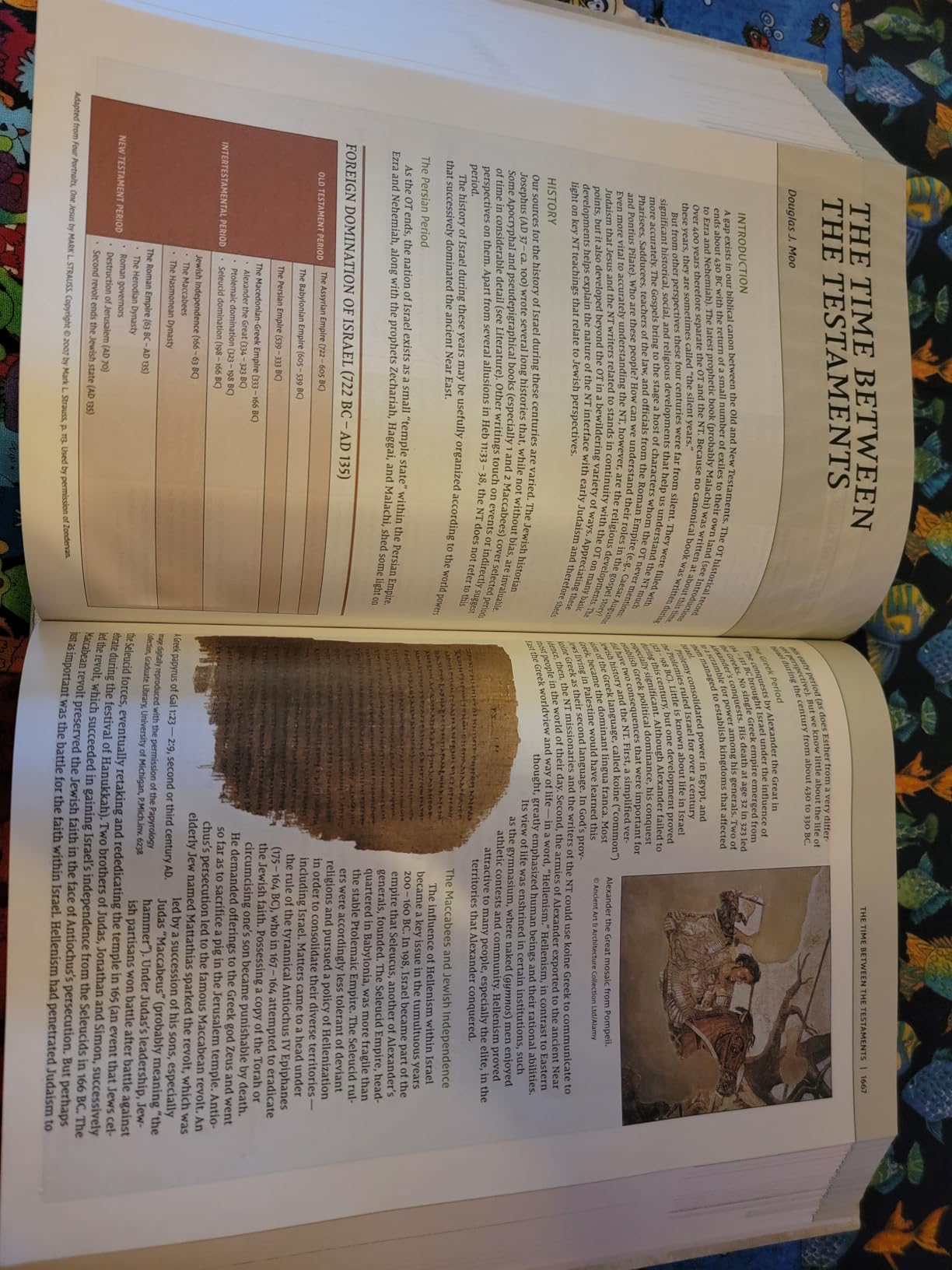 NIV, Biblical Theology Study Bible, Hardcover, Comfort Print customer photo 2
