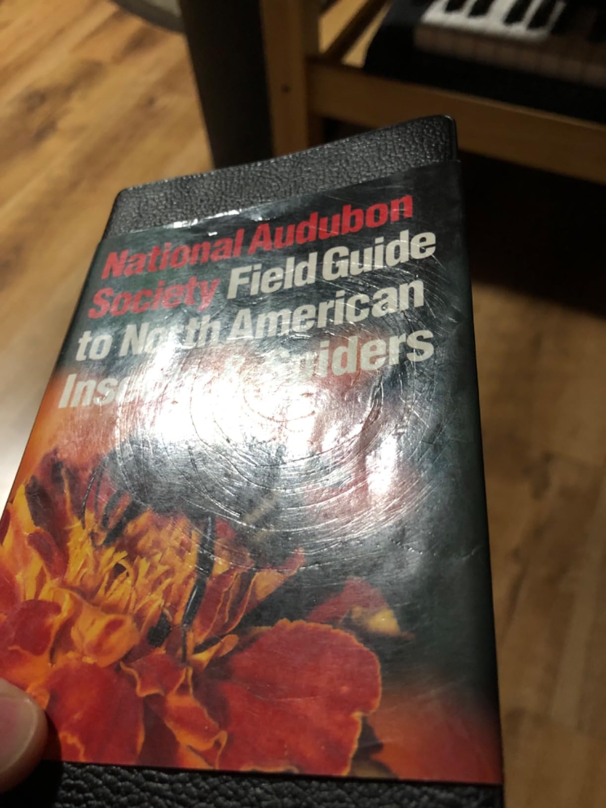 National Audubon Society Field Guide to Insects and Spiders: North America customer photo 2