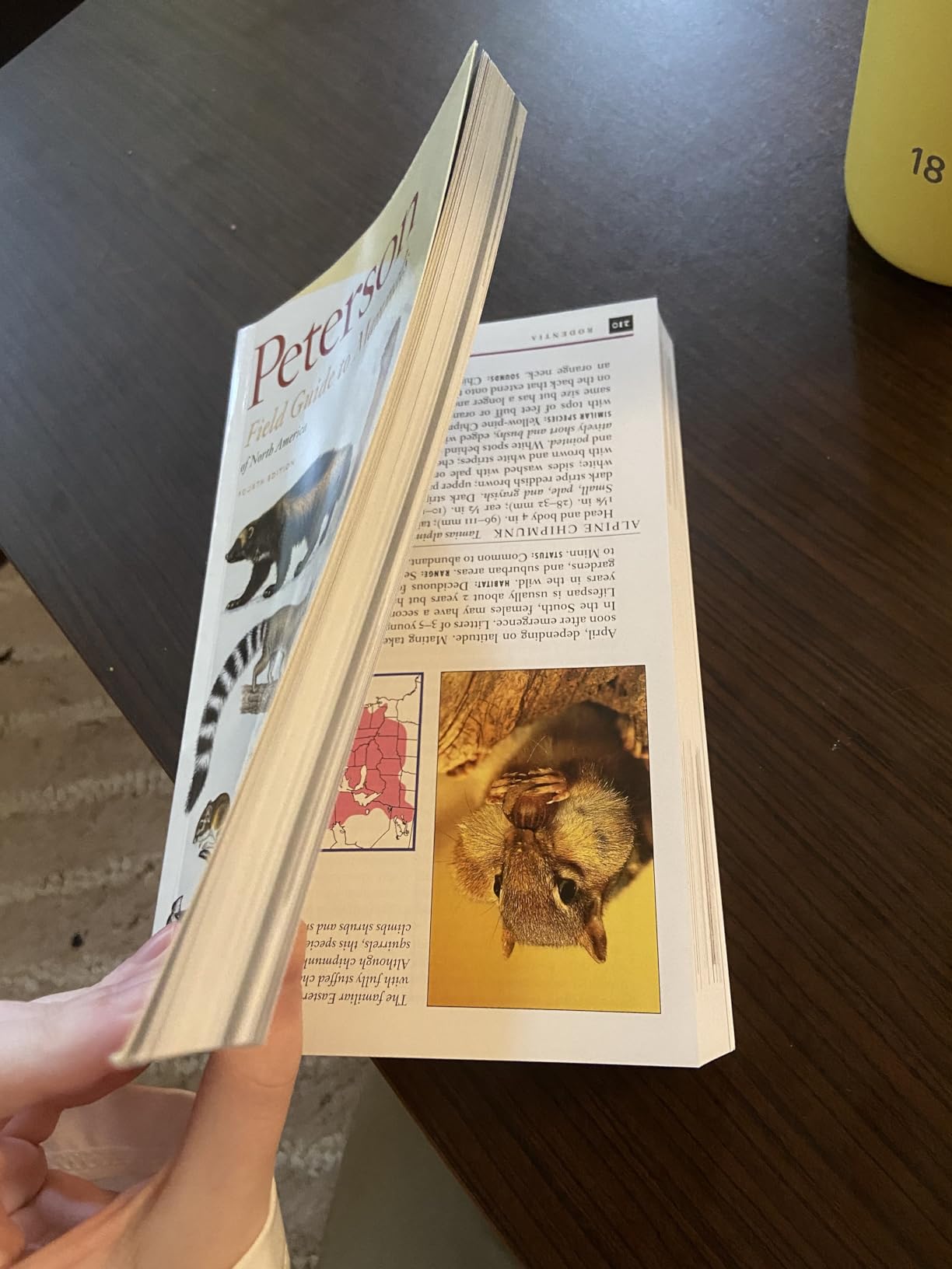 Peterson Field Guide To Mammals Of North America: Fourth Edition customer photo 1