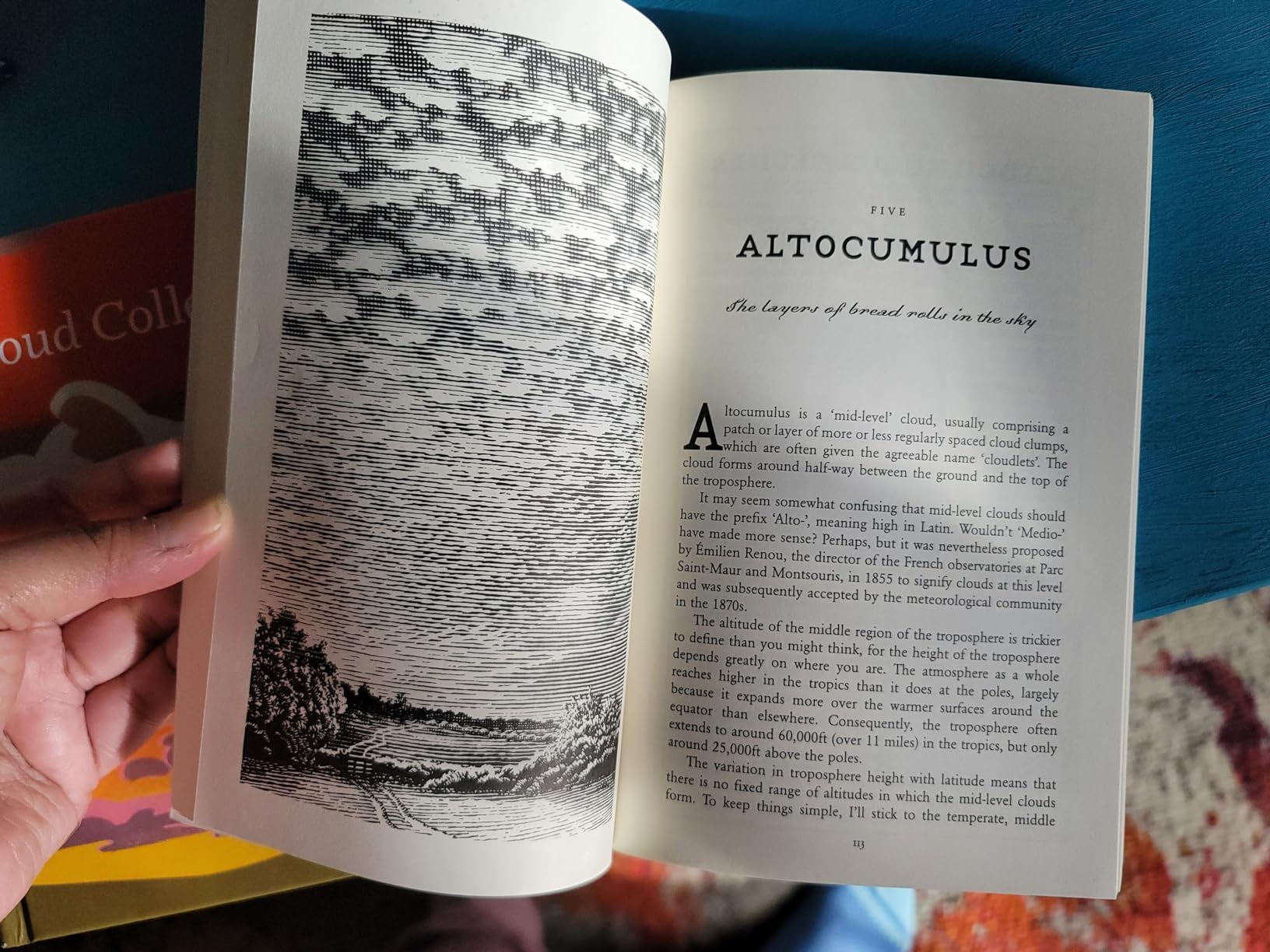 The Cloudspotter's Guide: The Science, History, and Culture of Clouds customer photo 1