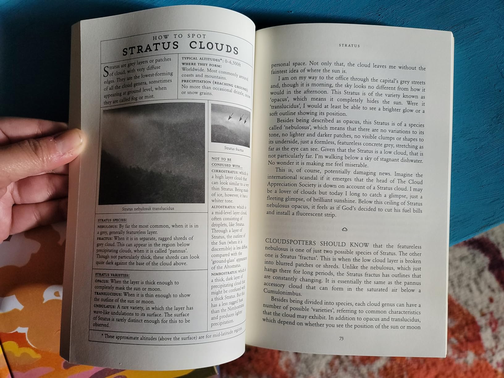 The Cloudspotter's Guide: The Science, History, and Culture of Clouds customer photo 2