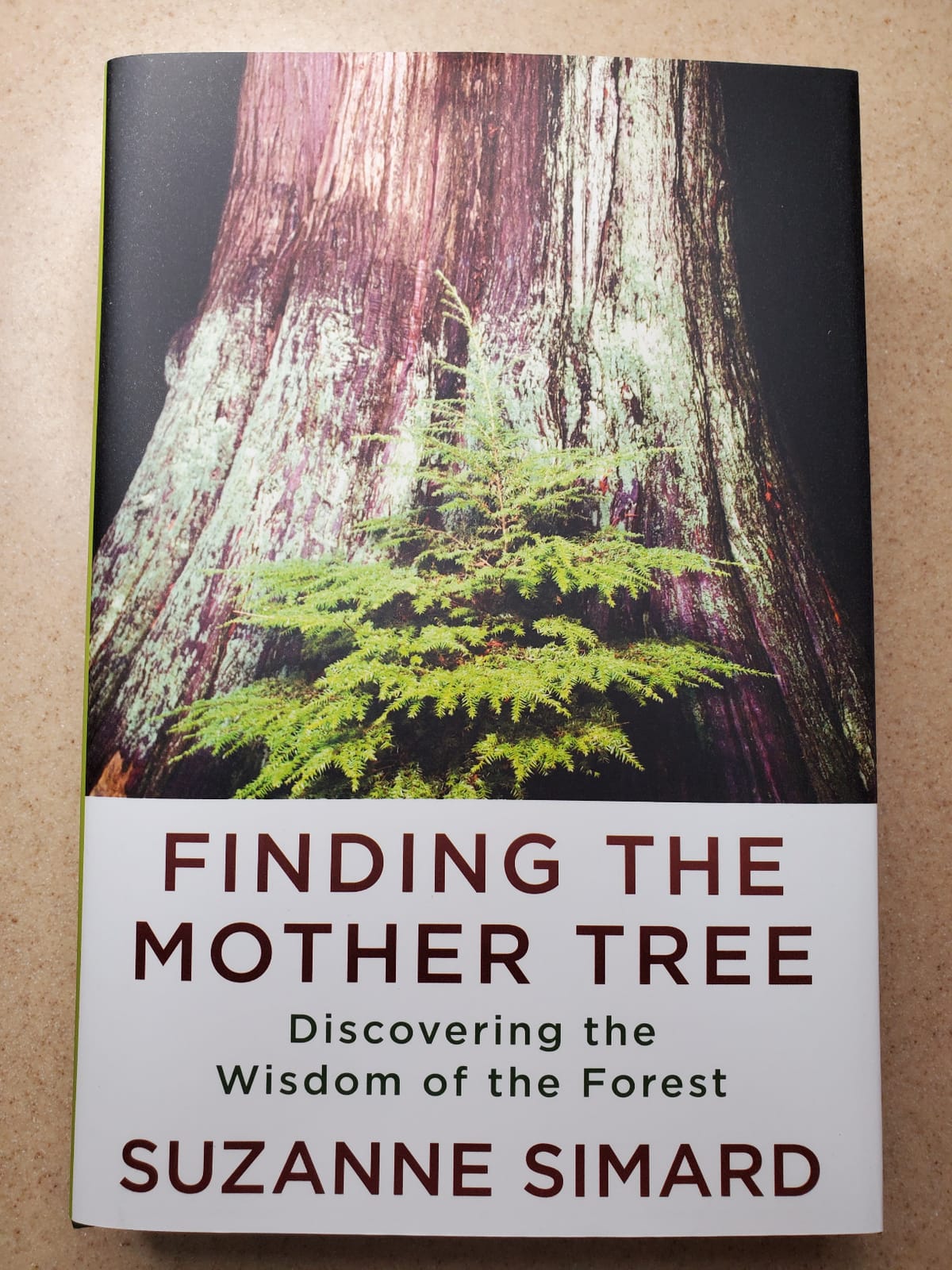 Finding the Mother Tree: Discovering the Wisdom of the Forest customer photo 2
