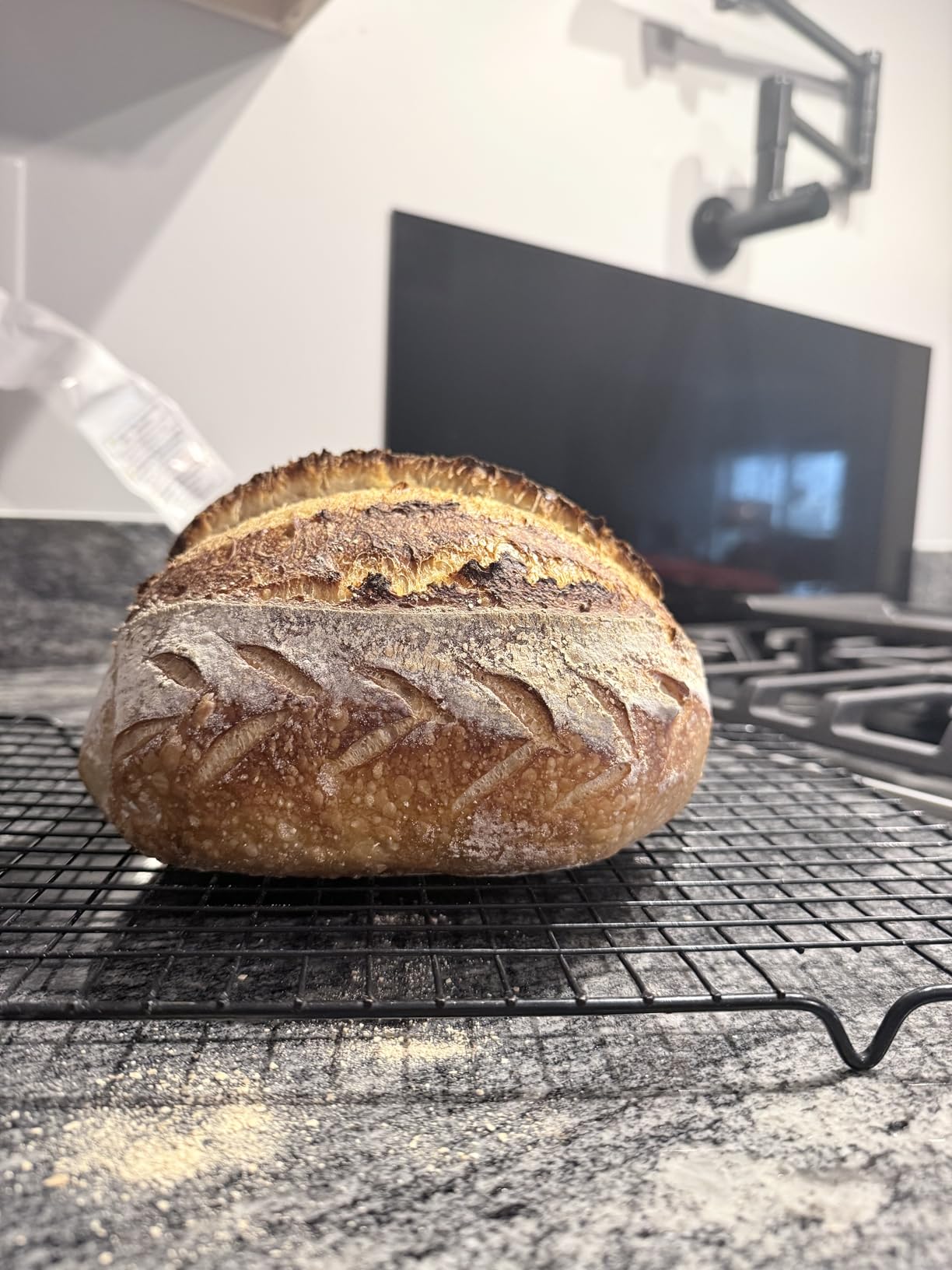 The Perfect Loaf: The Craft and Science of Sourdough Breads, Sweets, and More: A Baking Book customer photo 2