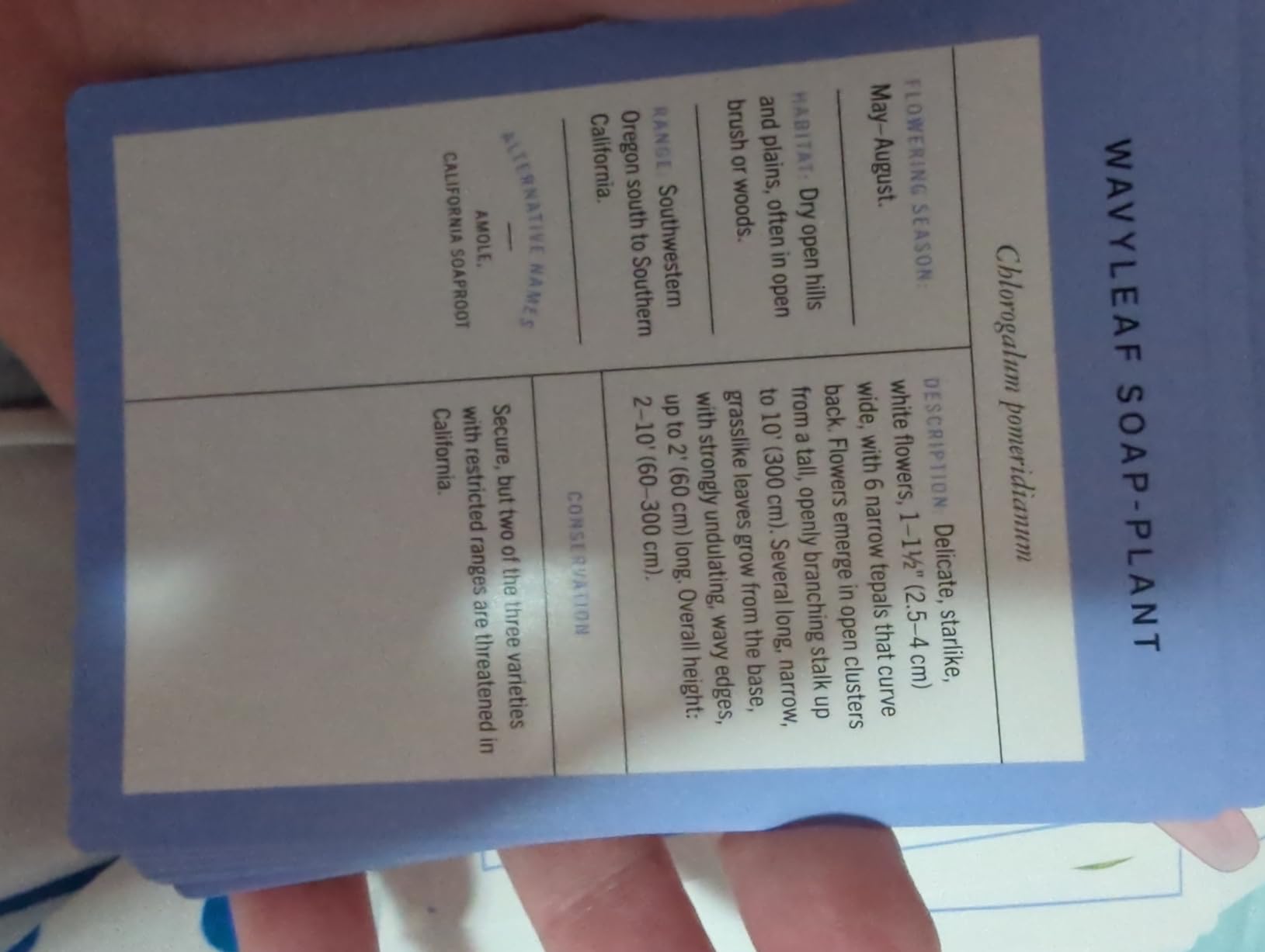 New York Botanical Garden Wildflower Identification Flashcards: 100 Common Wildflowers of North America customer photo 1