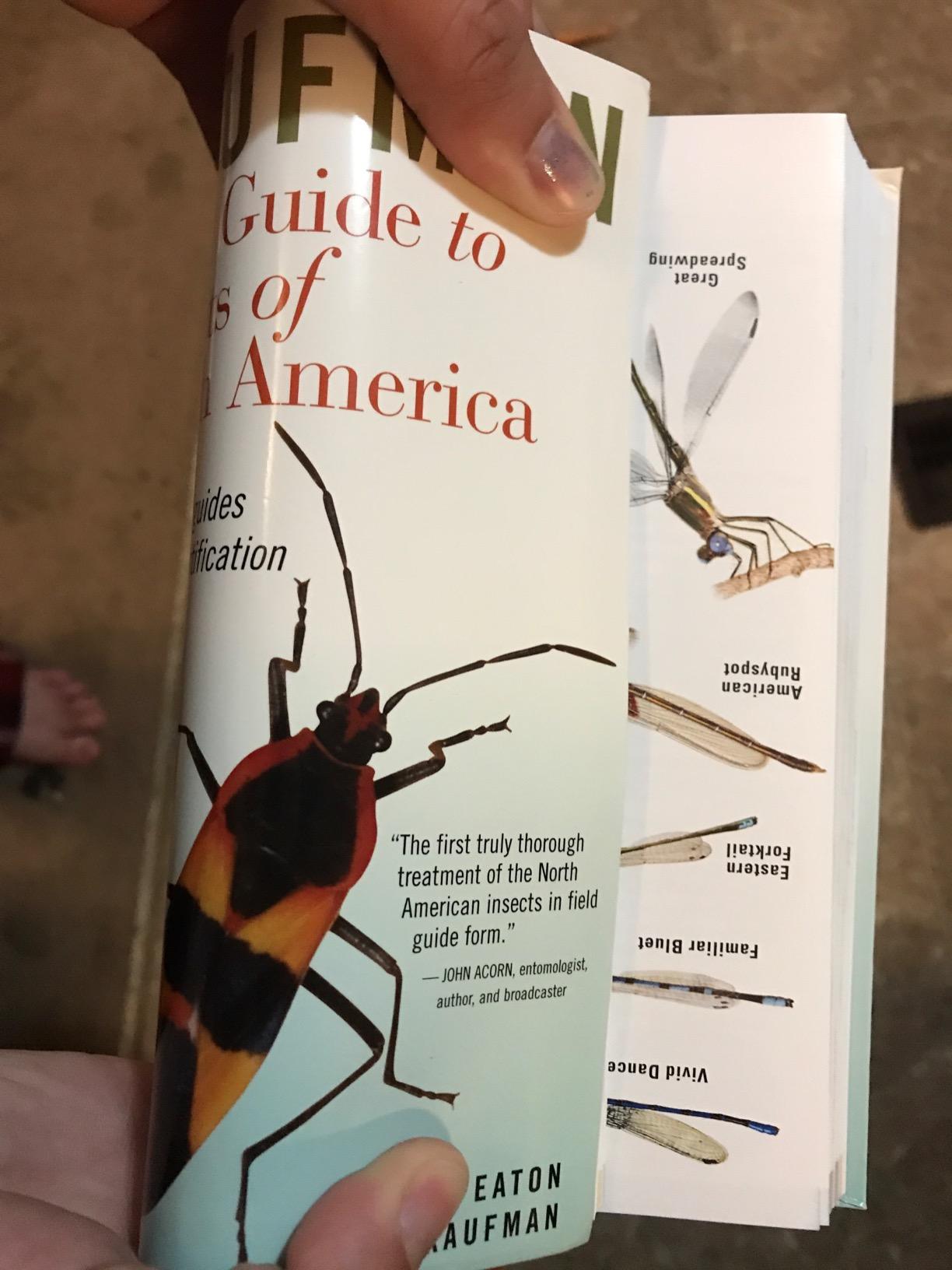Kaufman Field Guide to Insects of North America customer photo 2