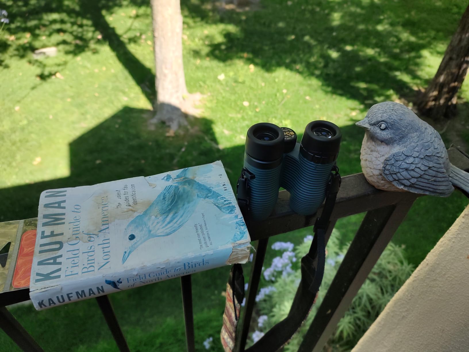 Kaufman Field Guide To Birds Of North America customer photo 1