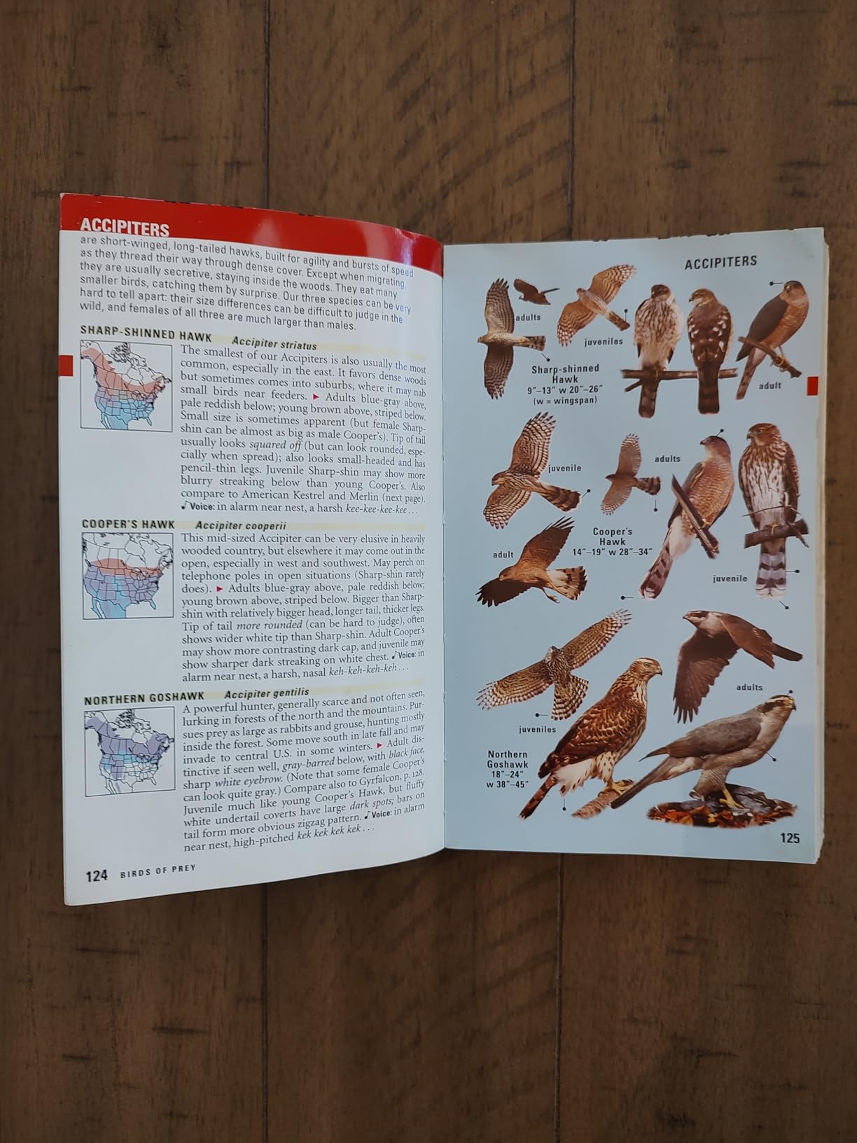 Kaufman Field Guide To Birds Of North America customer photo 2