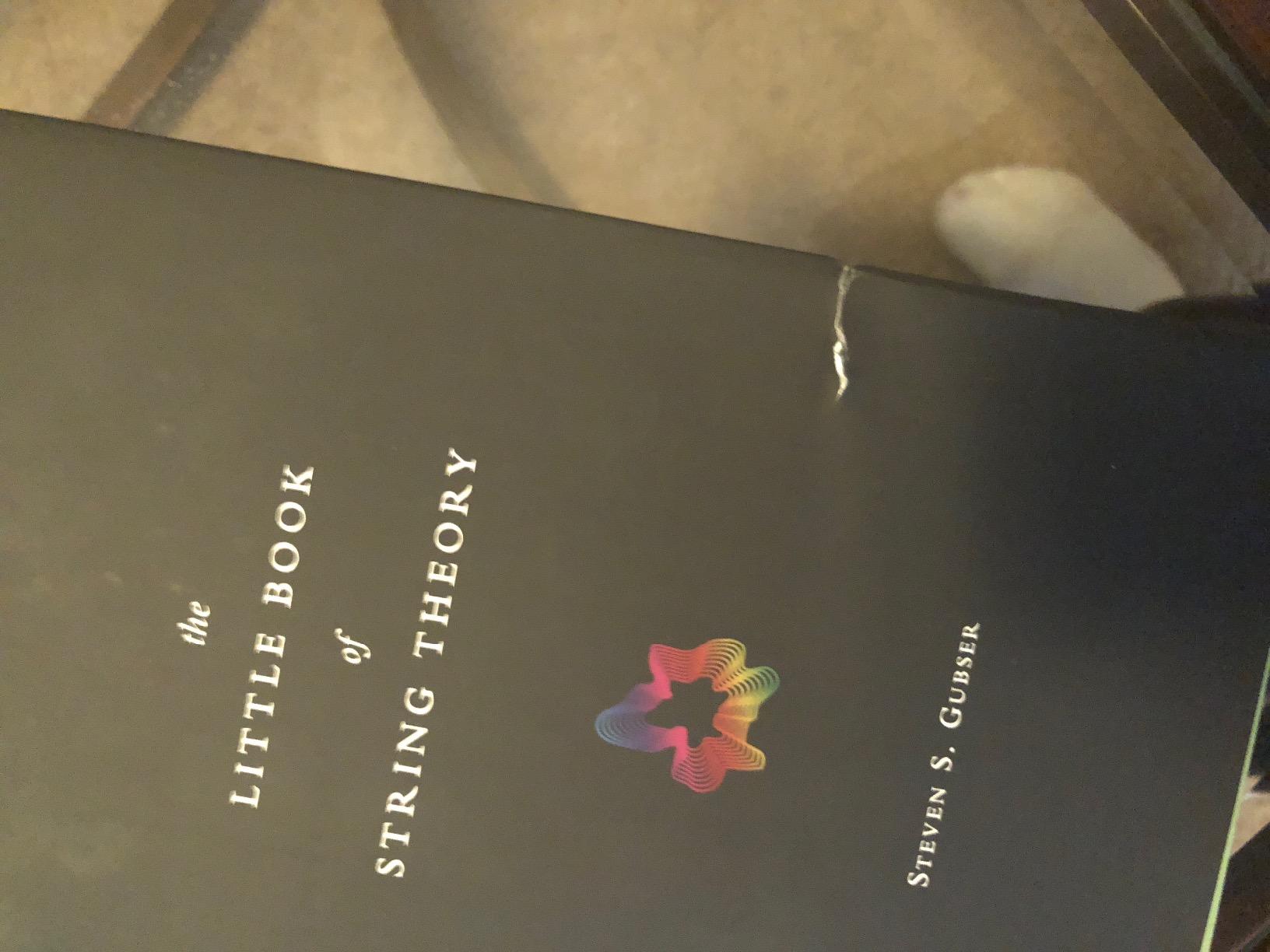 The Little Book of String Theory (Science Essentials) customer photo 1