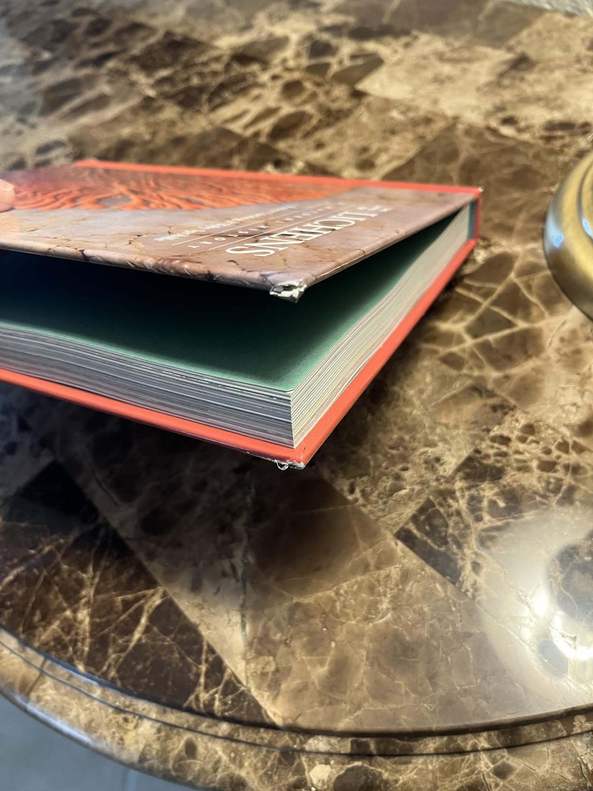 The Lives of Lichens: A Natural History (The Lives of the Natural World) customer photo 1