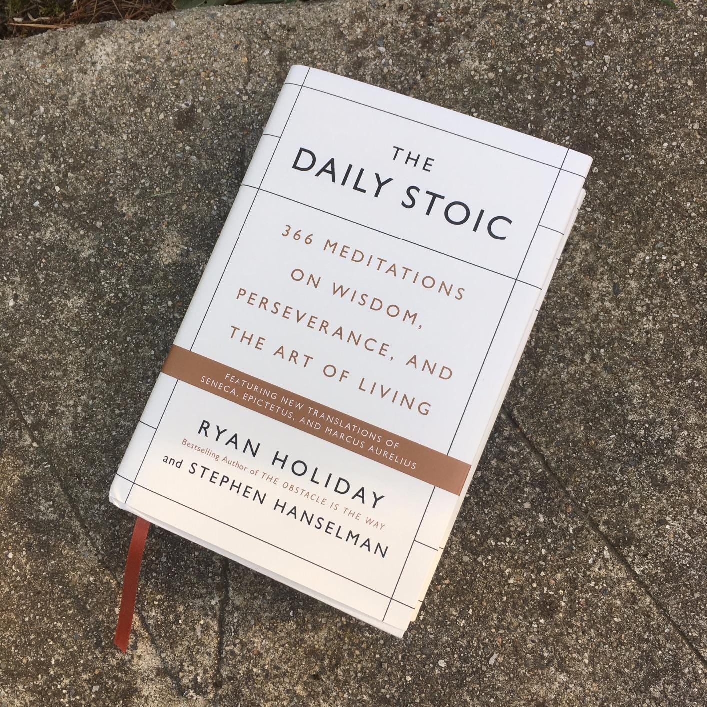 The Daily Stoic: 366 Meditations on Wisdom, Perseverance, and the Art of Living customer photo 1