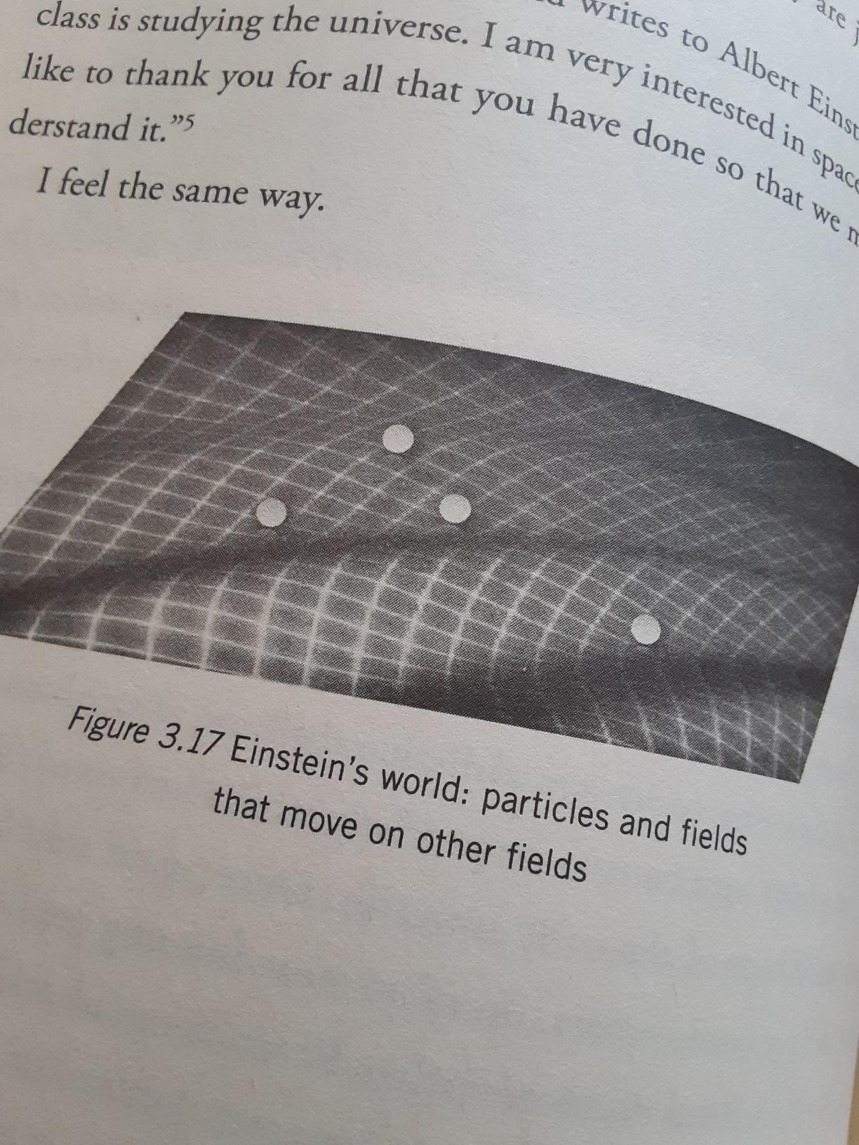 Reality Is Not What It Seems: The Journey to Quantum Gravity customer photo 2