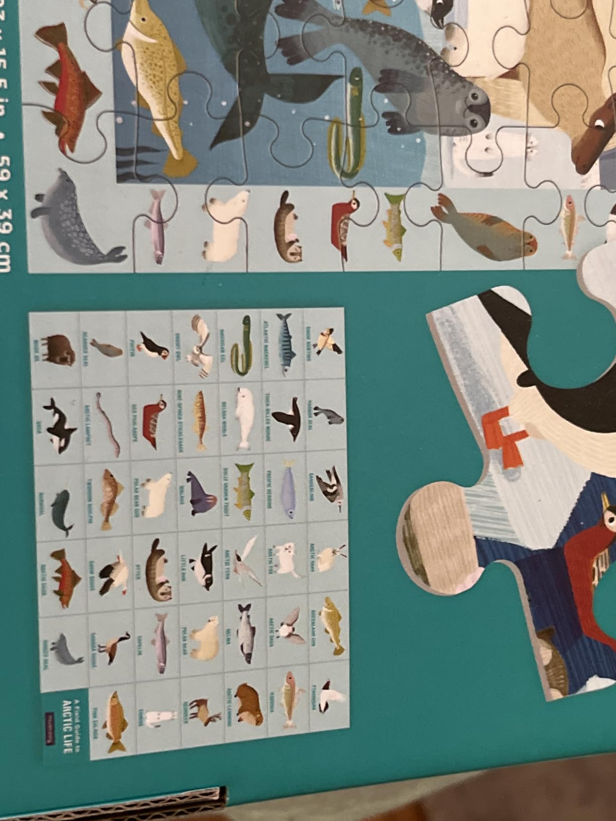 Mudpuppy - Arctic Life 64 Piece Search & Find Puzzle for Kids | Ages 4-6, 6-8, 40+ Arctic Creatures to Find, Build Observation Skills, Family Fun, Screen-Free Play, Recycled Paper customer photo 2