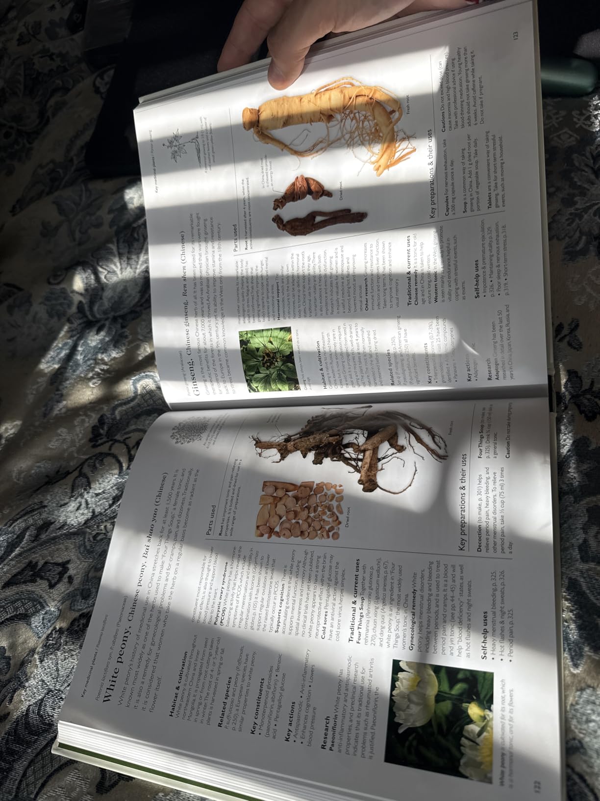 Encyclopedia of Herbal Medicine New Edition: 560 Herbs and Remedies for Common Ailments customer photo 1