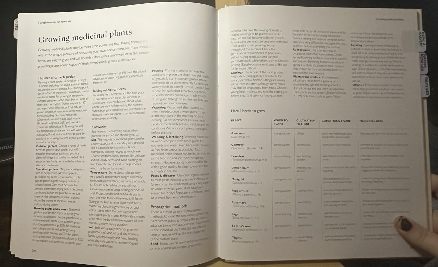 Encyclopedia of Herbal Medicine New Edition: 560 Herbs and Remedies for Common Ailments customer photo 2