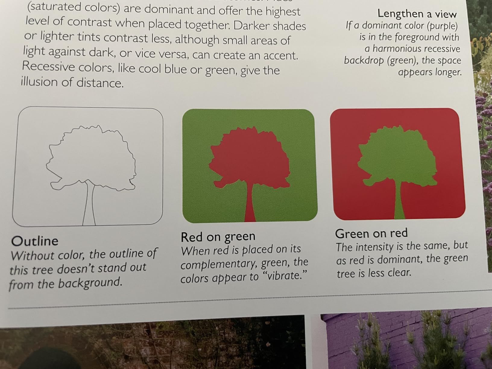 Encyclopedia of Landscape Design: Planning, Building, and Planting Your Perfect Outdoor Space customer photo 1